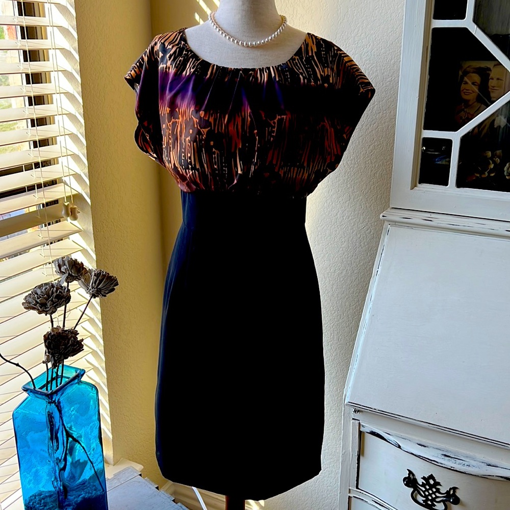 The Limited Dress Size 4